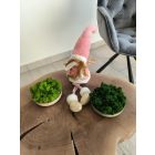 "Zuzmó oázis" - halványzöld színű kerámiatálban világoszöld zuzmó