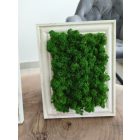 Kitámasztható vagy felakasztható sötétzöld zuzmókép