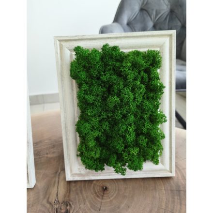 Kitámasztható vagy felakasztható sötétzöld zuzmókép