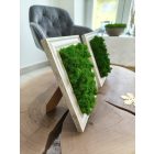 Kitámasztható vagy felakasztható sötétzöld zuzmókép