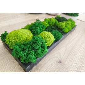 "Zuzmó sziget" - fa tálcán 