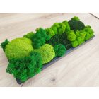 "Zuzmó sziget" - fa tálcán 