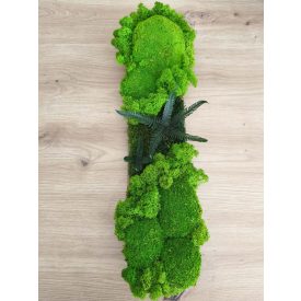 "Zuzmó sziget" - üveg tálon