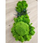 "Zuzmó sziget" - üveg tálon